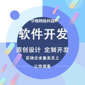 软件开发