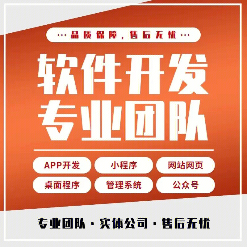 软件开发 从概念到交付的完整指南